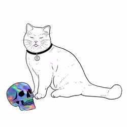 The Sad Cat #1873