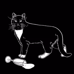 The Sad Cat #6783