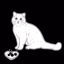 The Sad Cat #833