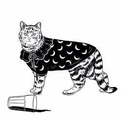 The Sad Cat #2482