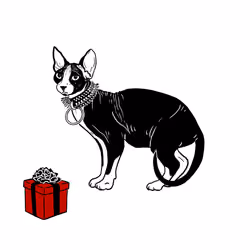 The Sad Cat #5284