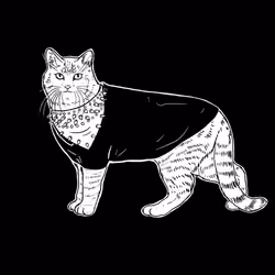 The Sad Cat #6364