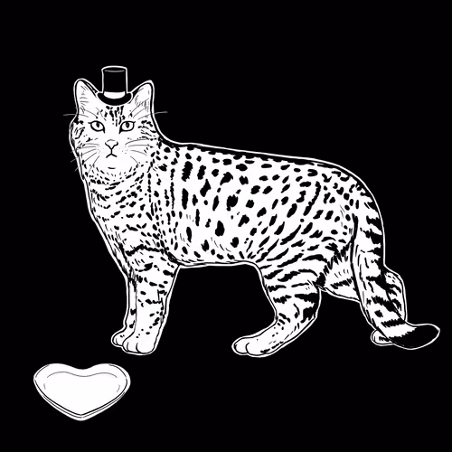 Thesadcats