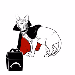The Sad Cat #3067