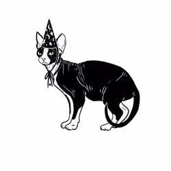 The Sad Cat #763