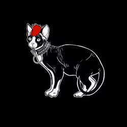 The Sad Cat #6569