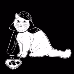 The Sad Cat #10