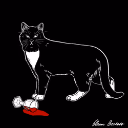 The Sad Cat #5844