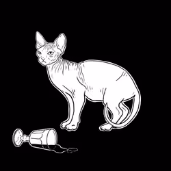 The Sad Cat #4684