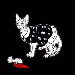 The Sad Cat #1865