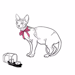 The Sad Cat #5219