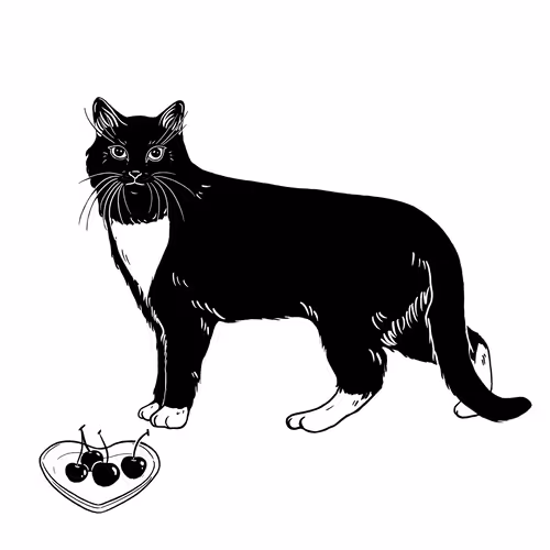 Thesadcats