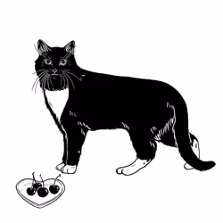 The Sad Cat #3084
