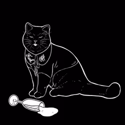 The Sad Cat #6629