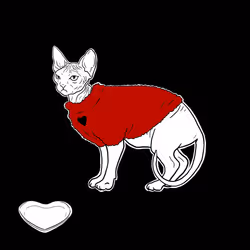 The Sad Cat #3634