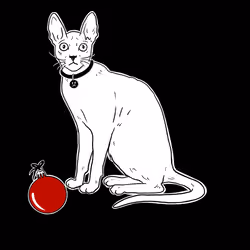 The Sad Cat #321