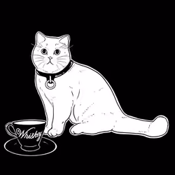 The Sad Cat #3631