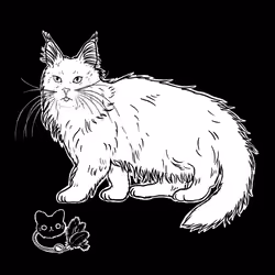 The Sad Cat #4716