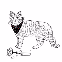 The Sad Cat #109