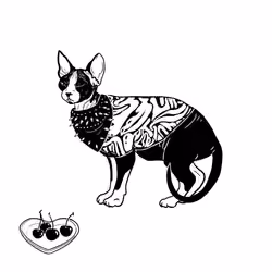 The Sad Cat #5155