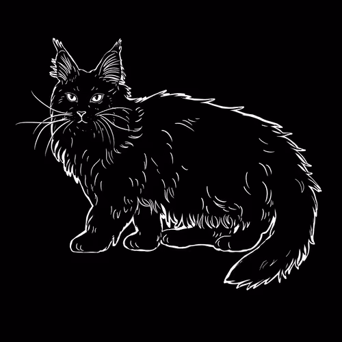 The Sad Cat #572