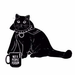 The Sad Cat #3037
