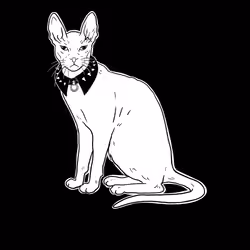 The Sad Cat #3565