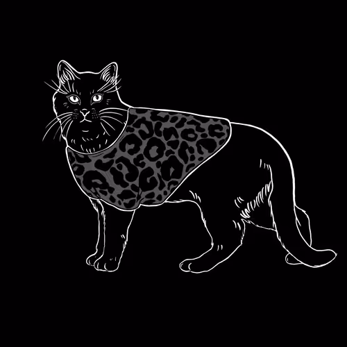 The Sad Cat #6726