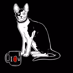 The Sad Cat #3991
