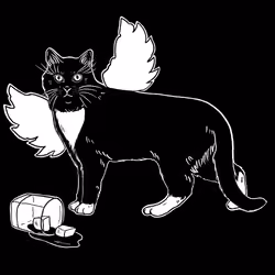 The Sad Cat #2818