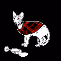 The Sad Cat #3700