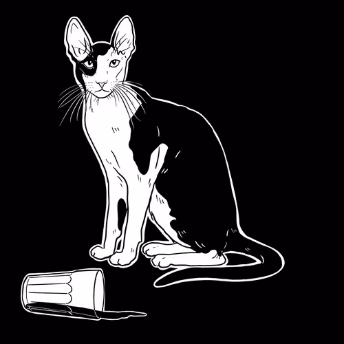 The Sad Cat #6458
