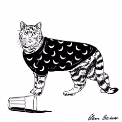 The Sad Cat #6723