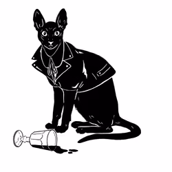 The Sad Cat #6019
