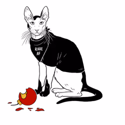 The Sad Cat #3332