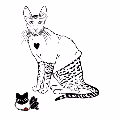 The Sad Cat #5140