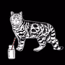 The Sad Cat #2881
