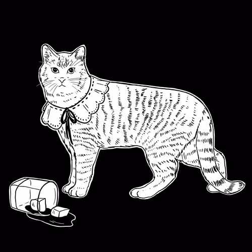 The Sad Cat #6563