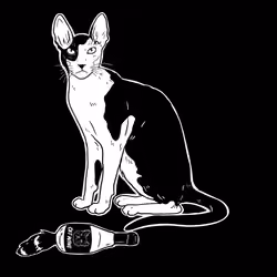 The Sad Cat #2469