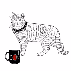 The Sad Cat #6196