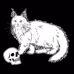 The Sad Cat #3635
