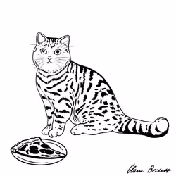 The Sad Cat #1964