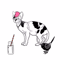 The Sad Cat #5495