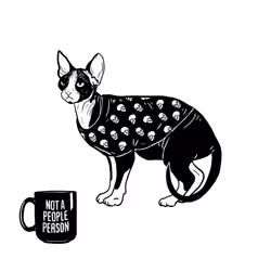 The Sad Cat #5069