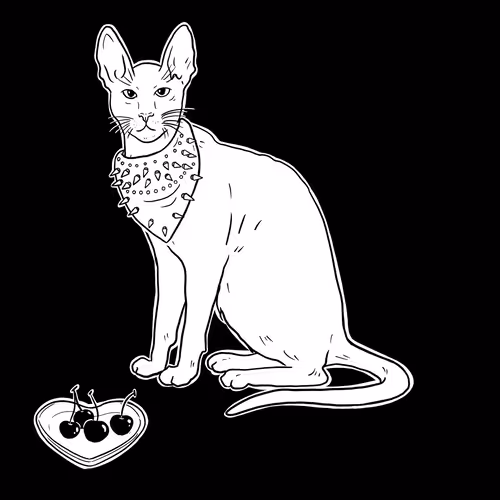 The Sad Cat #5932