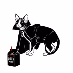 The Sad Cat #3568