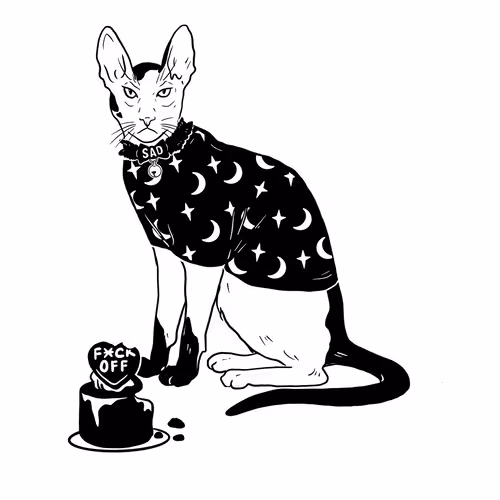 The Sad Cat #6807