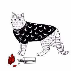 The Sad Cat #4063