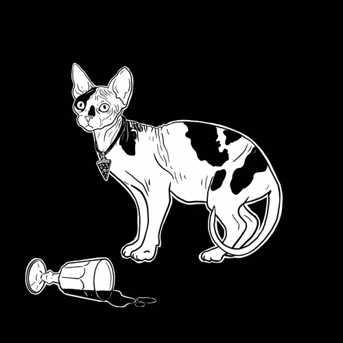 The Sad Cat #6847