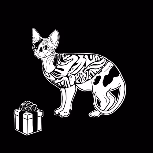 The Sad Cat #6862